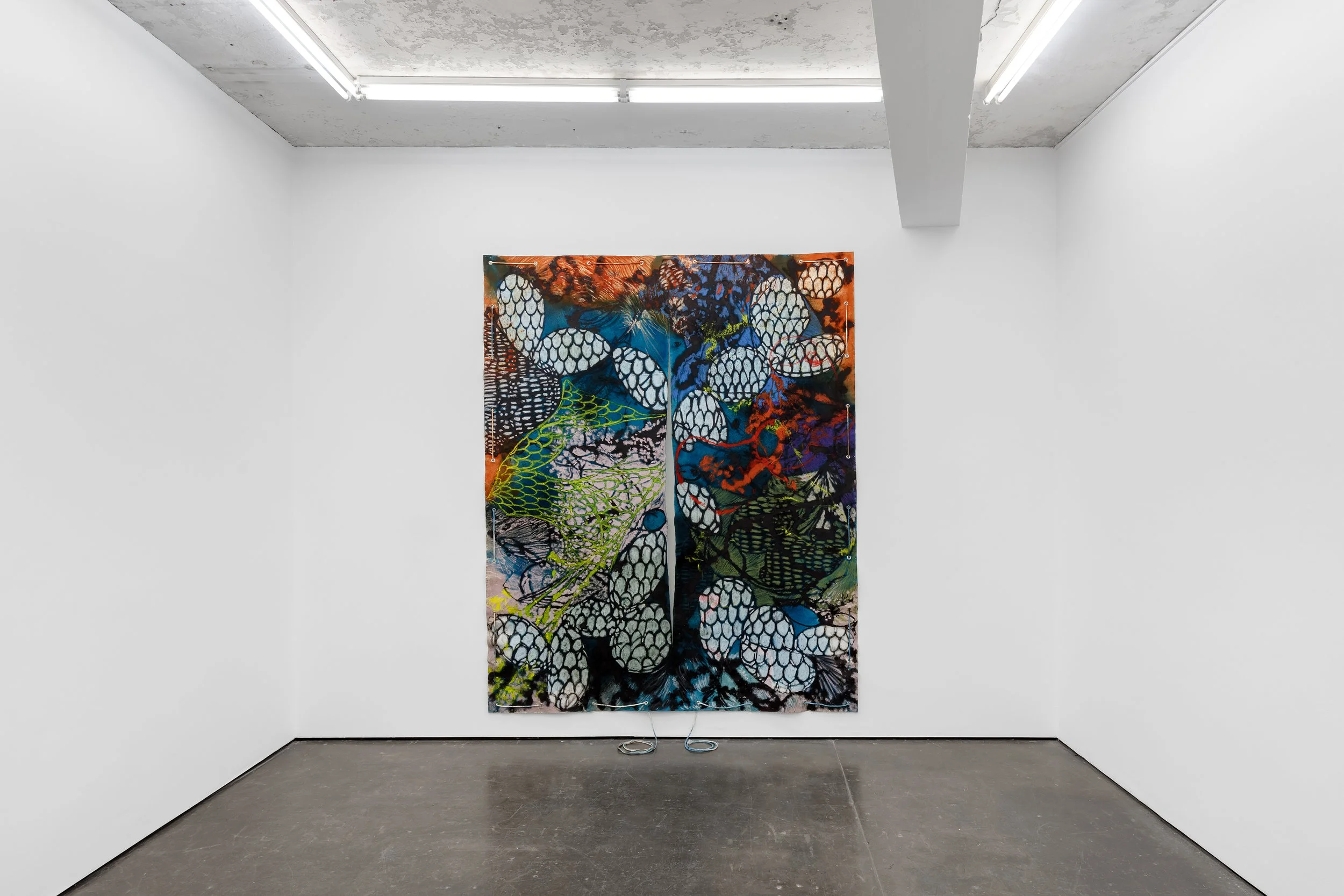 Naotaka Hiro 2026 — Herald St